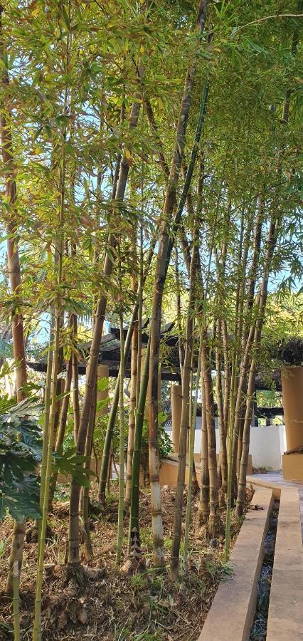 Jardines De Golondrinas Elviria By The Nikki Apartamento Marbella